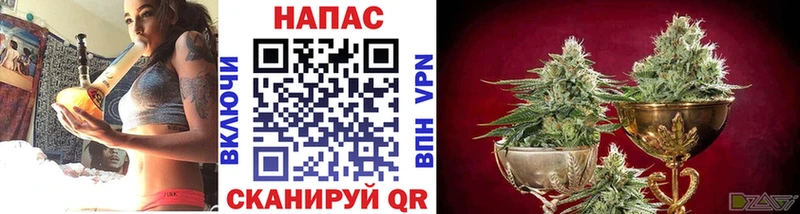 Бошки марихуана семена Королёв